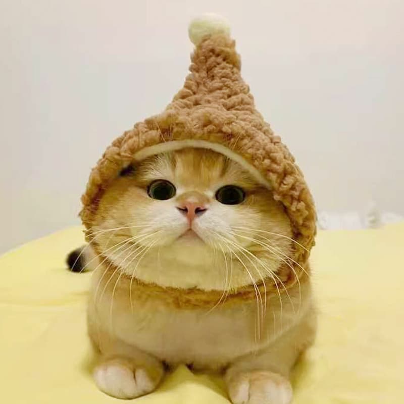 Chapéu de gato com orelhas expostas, chapéu fofo de pelúcia de inverno, Velcro, gradiente dourado, lã encaracolada alemã