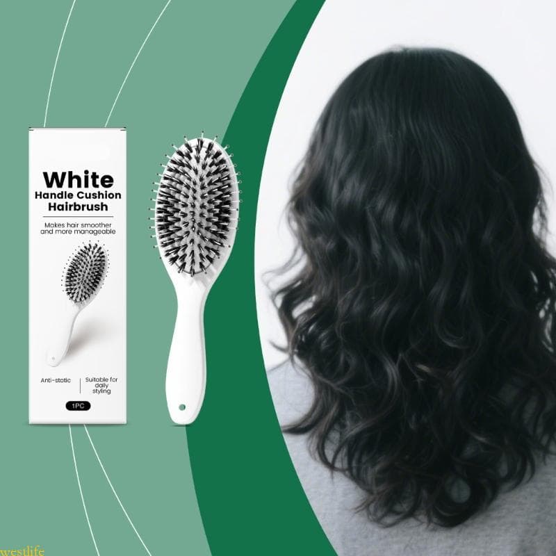 1 2 3pc Escova Cabelo Grau Salão Distribui Óleos Naturais Para Cuidados Os Cabelos Saudáveis