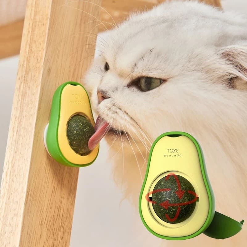 Abacate De Brinquedo Para Gatos Com Catnip Erva Gato Natural