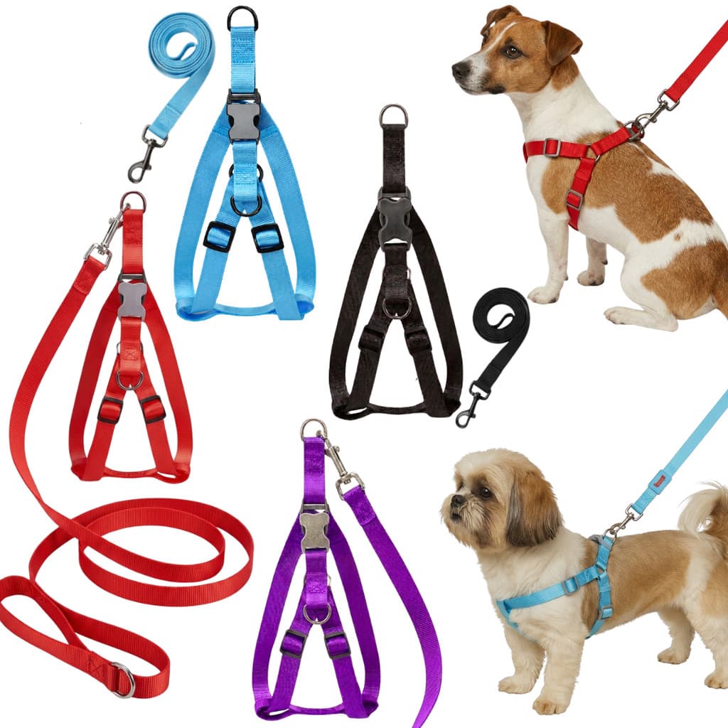 Coleira Peitoral H caes Ajustável para Cachorro com Guia confortavel resistente