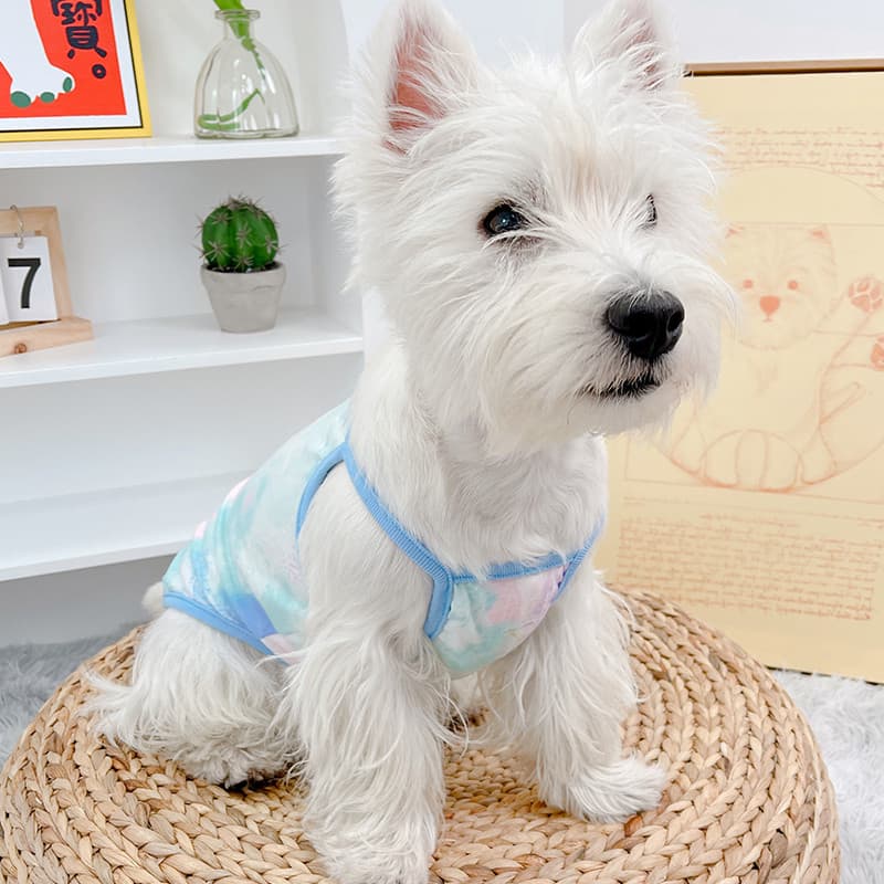 Cão verão roupas de gato filhote de cachorro colete gatinho estilo fino Teddy Bichon Schnauzer estilo verão Yorkshire pr