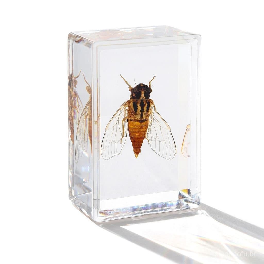Artesanato popular em âmbar seco, espécimes de insetos em resina transparente pura e natural, direto do fabricante, brin