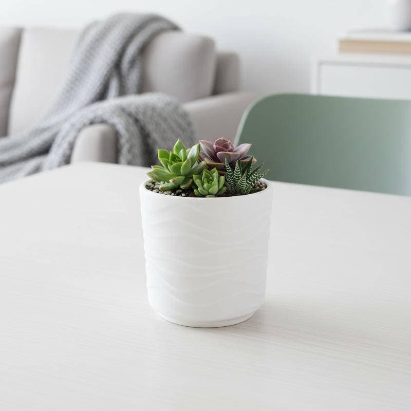 Vasos De Flores De Cerâmica Falsa Em Forma De Onda Simples São Adequados Para Orquídeas De Decoração De Casa E Outras Pl