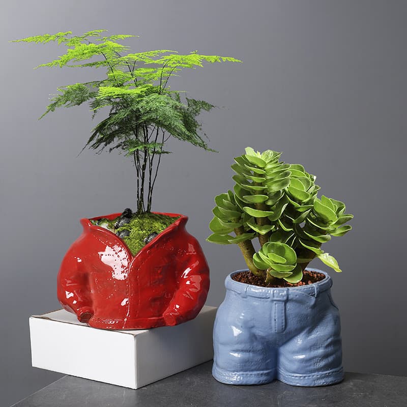 Vaso de cerâmica simples europeu de alta qualidade, combinação de suculentas de bambu, decoração de plantas em vasos, sa
