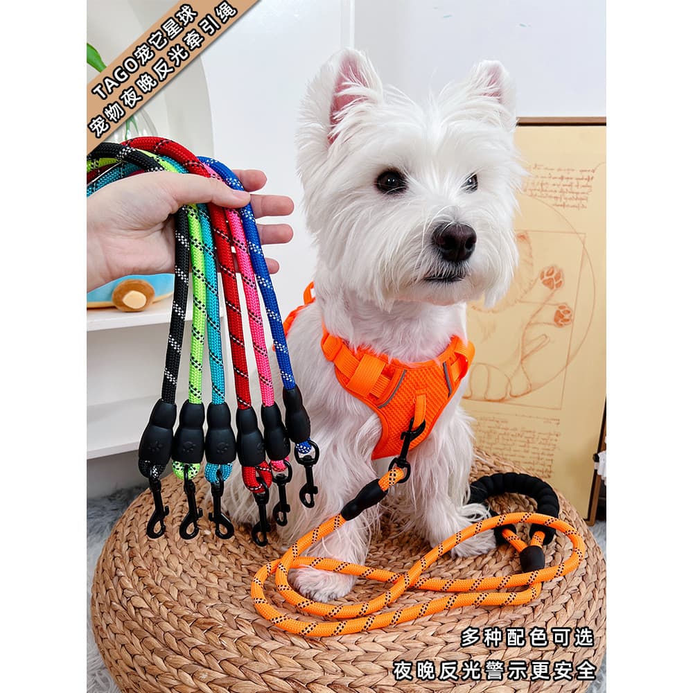 Trela do cão trela do cão trela do cão trela do cão andando suprimentos para cães de estimação Daquan pequeno cão Outing