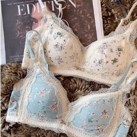 Francês doce Floral roupa interior feminina seios grandes mostrar seios pequenos evitar flacidez Push Up sutiã verão est