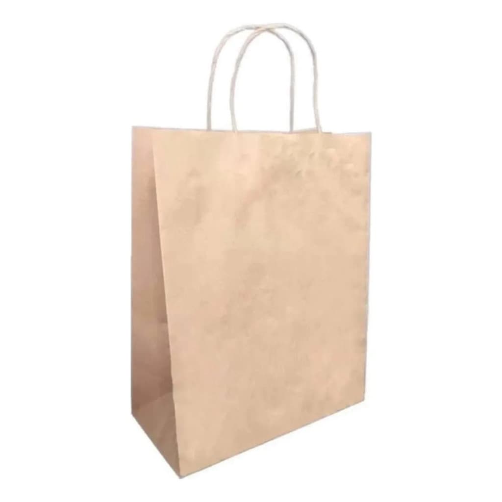 Sacola De Papel P 23x13x30 Lisa Pct C/100un