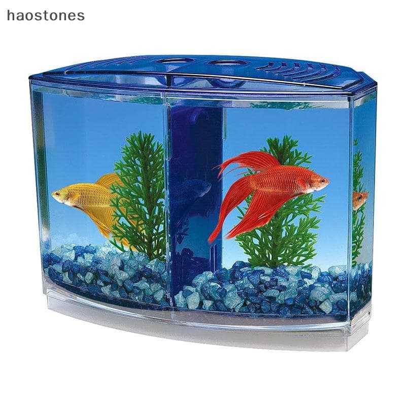 Grande Doublepartment Combate Caixa De Peixes Eco Rumble Aquário Mini Isolamento De Plástico Reprodução