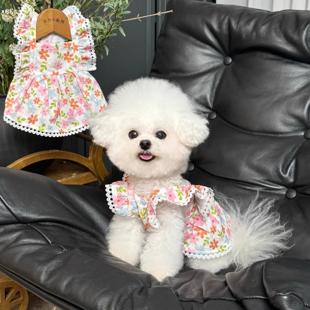 Saia Floral estilo princesa Samoyed Corgi Labrador médio grande cachorro saia rosa verão roupas finas