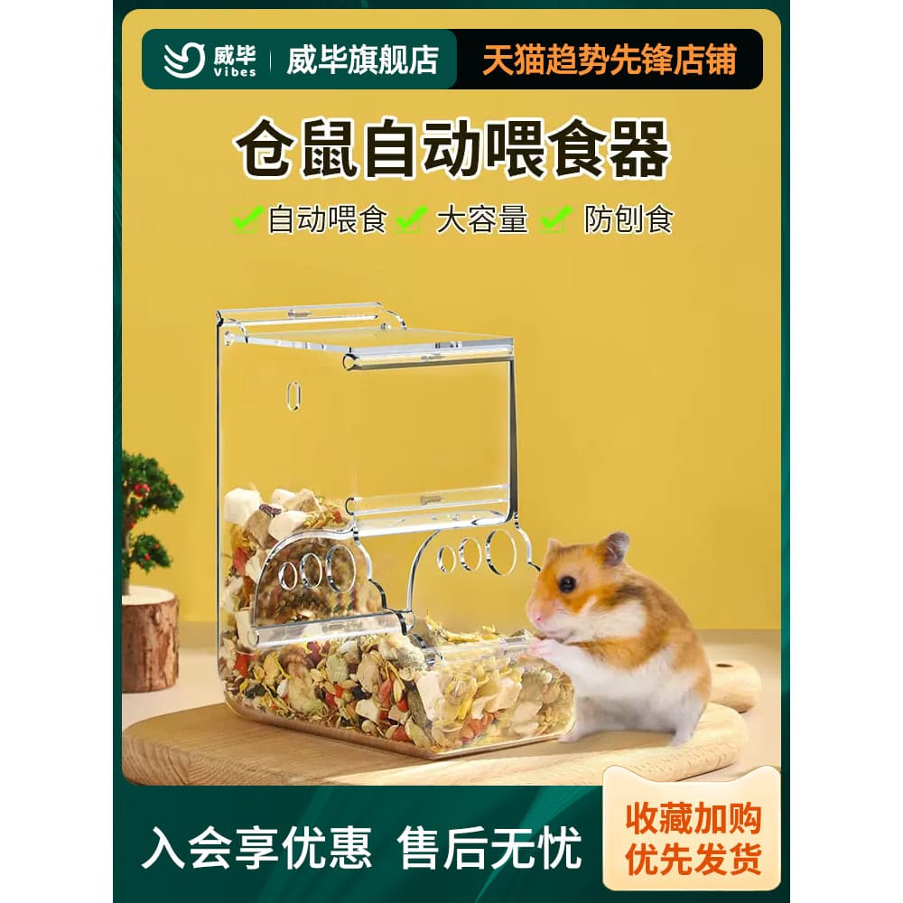 Alimentador automático de urso dourado para Hamster, pode consertar tigela de comida, caixa de comida, Anti-derrubamento