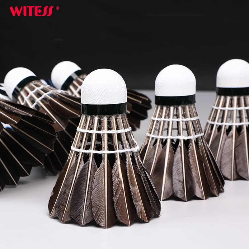 WITESS testemunha Badminton conjunto de 6 peças resistente à luta rei não é fácil de quebrar lã preta conjunto de compet