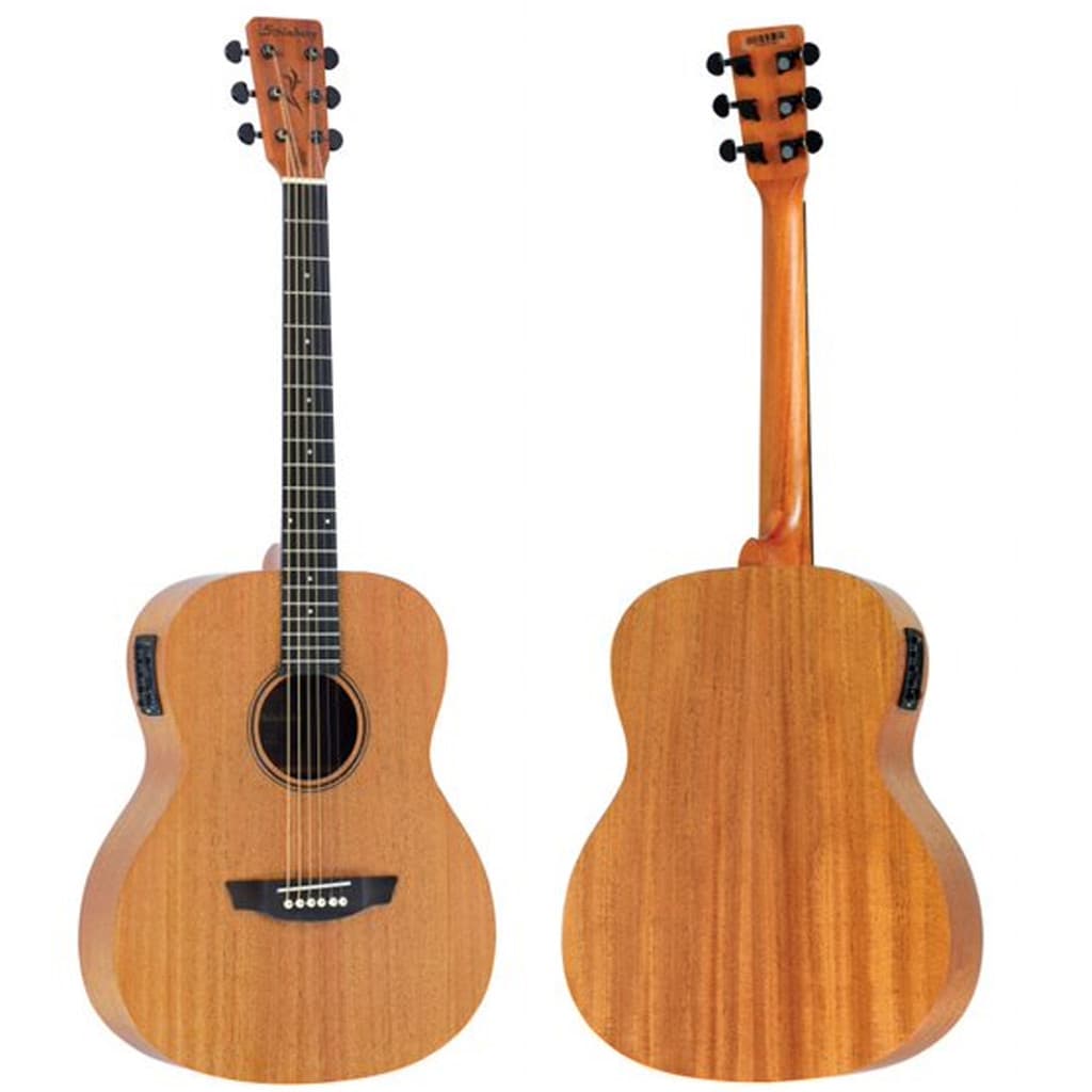 Violão Aço Elétroacústico Strinberg Forest Fs1a Mahogany Mgs