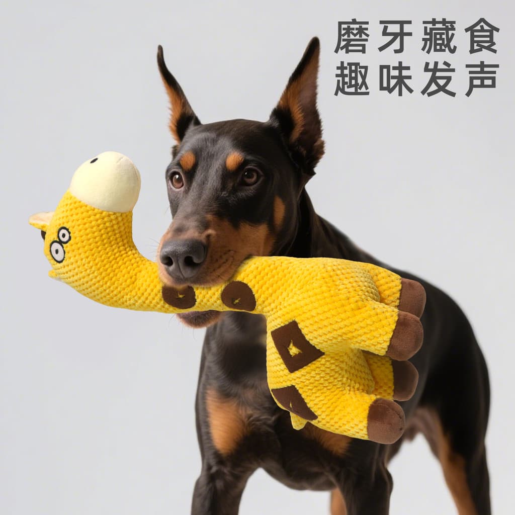 Pacote de presente para treinamento de cães