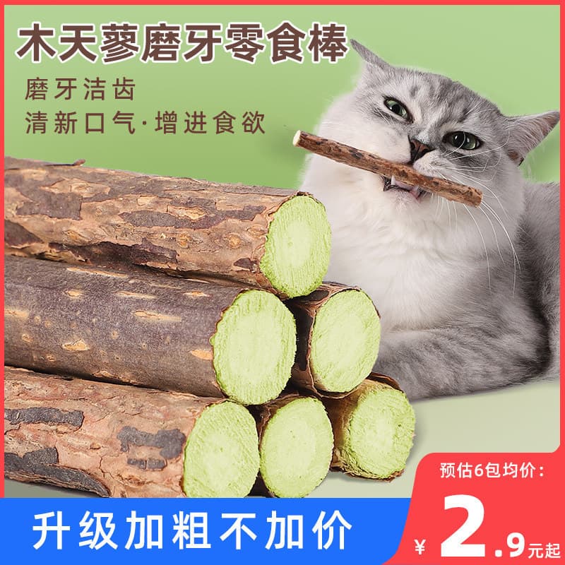 Lanches para gatos