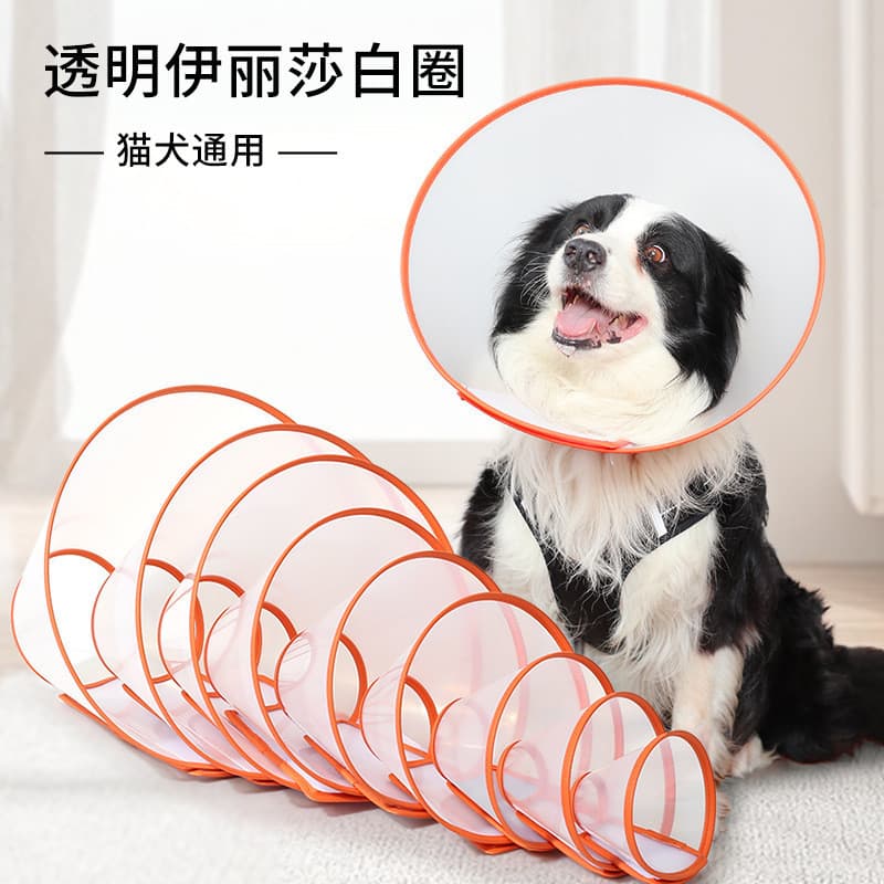 Novo produto coleira de couro pu com borda Elizabeth coleira para animais de estimação anti-lamber anti-mordida coleira
