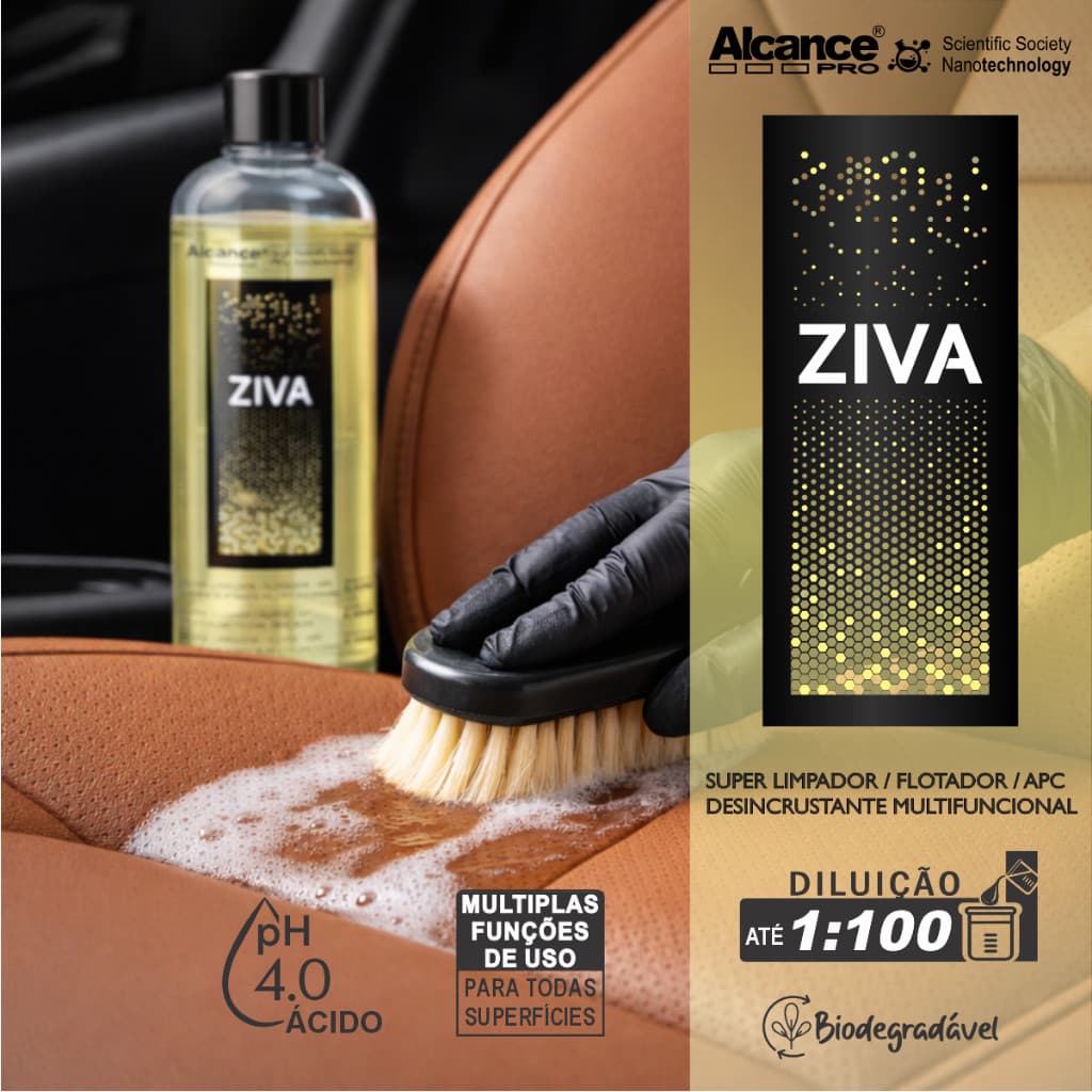 Limpador Multi-ação Concentrado Automotivo 1L Alcance Profissional Ziva