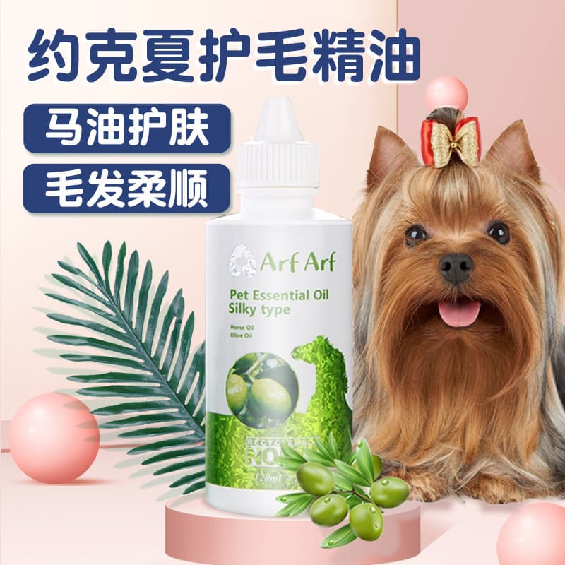 Cão Yorkshire cabelo atado cuidados com o cabelo óleo essencial cuidados com o cuidados com o cabelo spa amaciant