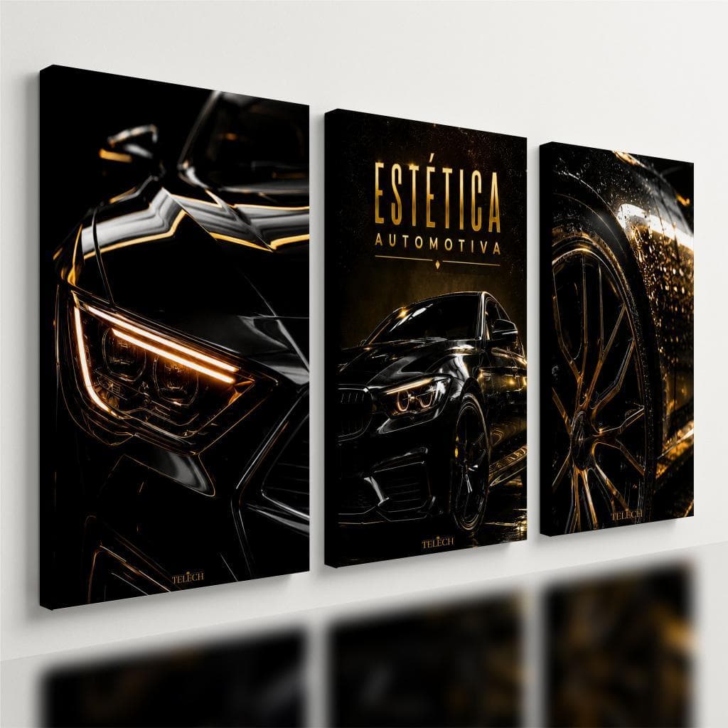 Kit3 Quadro Decorativo Carro Estética Automotiva Lava Car e2