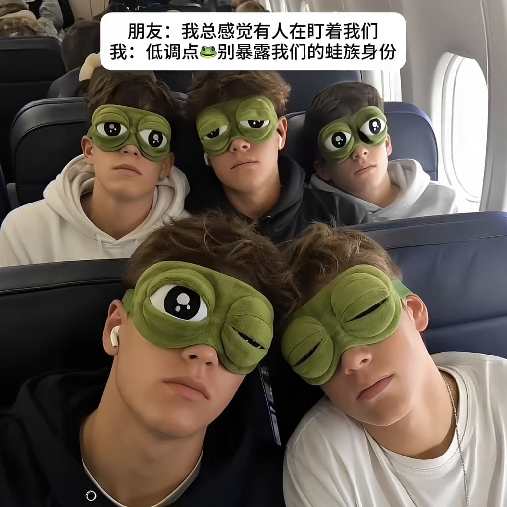 Máscara de sapo engraçada para viagem, avião de alto trilho, máscara de dormir, trabalhador, pausa para almoço, sapo tri