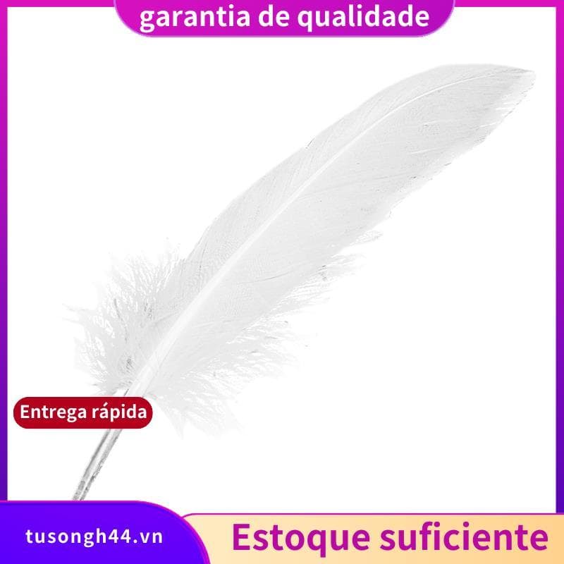 100 Peças Penas Brancas Artesanato De Ganso Para Chapéu De Festa Decoração De Casamento 15-22cm jimarnoldbr