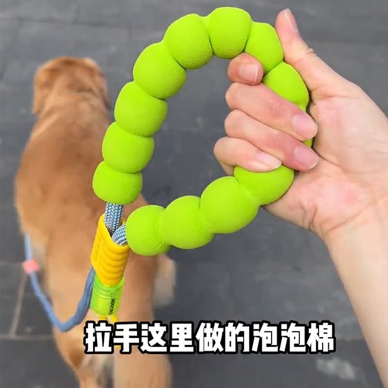 Trela do cão multifuncional trela de caminhada do cão pode Diagonal mãos livres pequeno médio grande cão Golden Retrieve