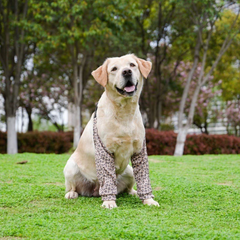 Cotoveleiras Para Cães Médios E Grandes , Joelheiras Articuladas Todas As Estações