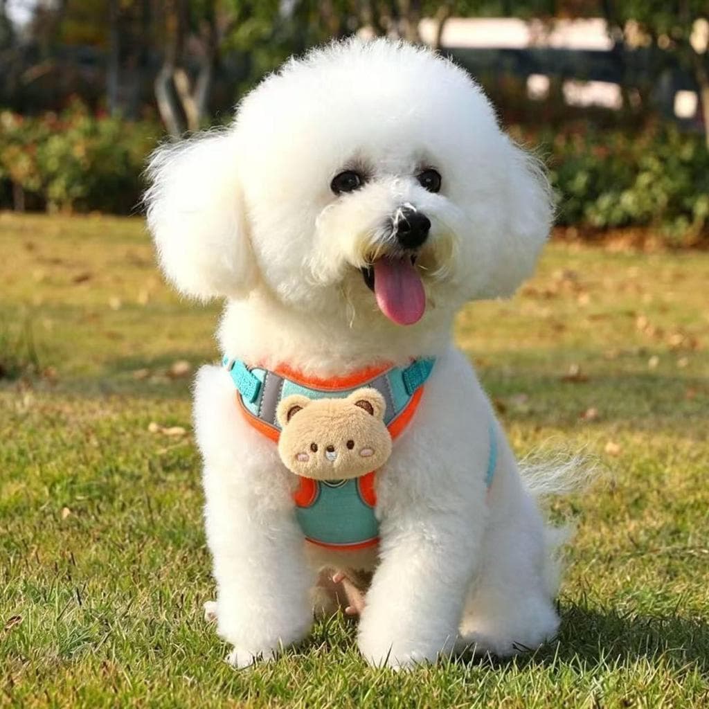 [Nova chegada] coleira para cachorro estilo colete cinta peitoral coleira para cachorro pomerânia cachorro de pelúcia an