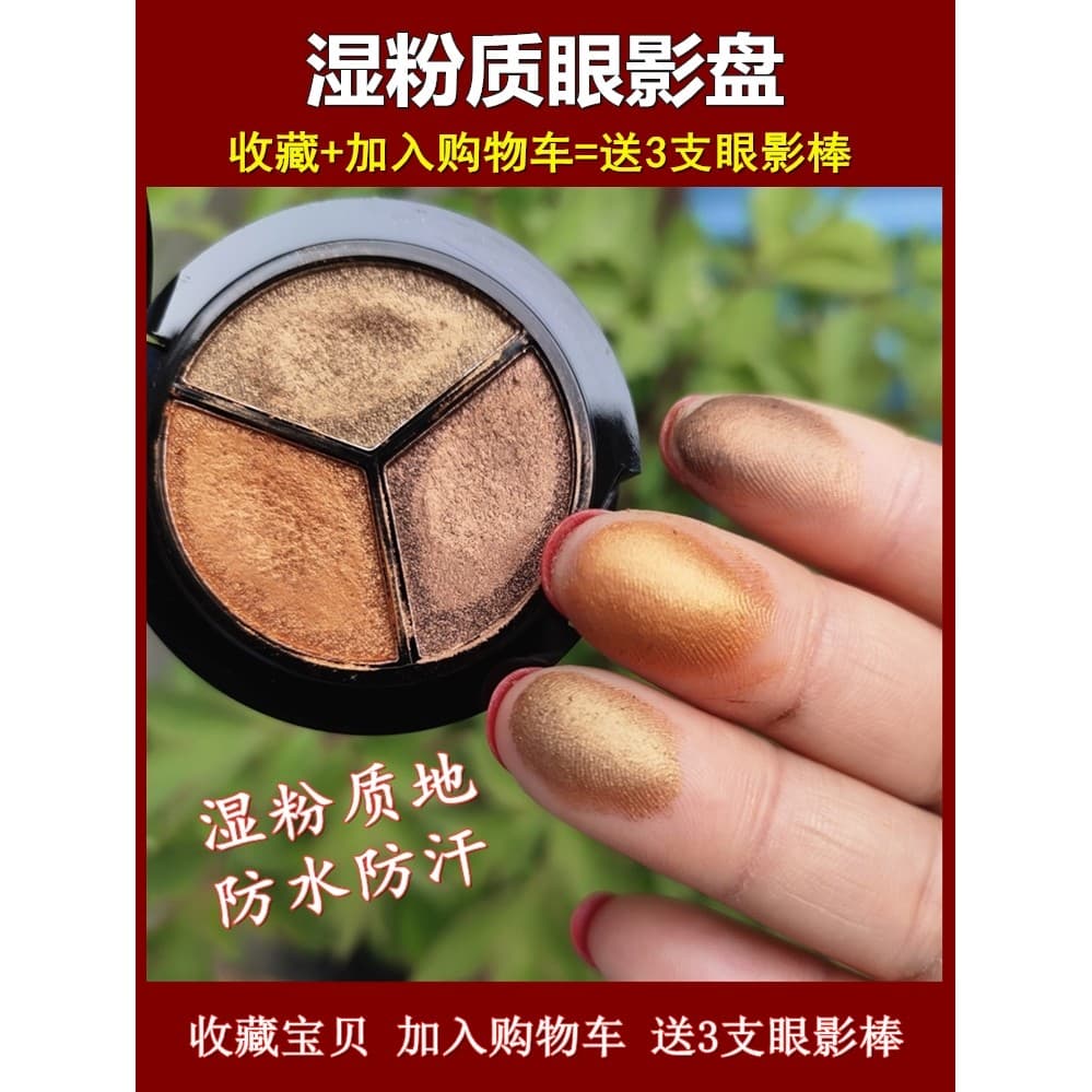 Maquiagem à prova dwaterproof água Natural tridimensional temperamento paleta de sombra portátil terra cor palco maquiag