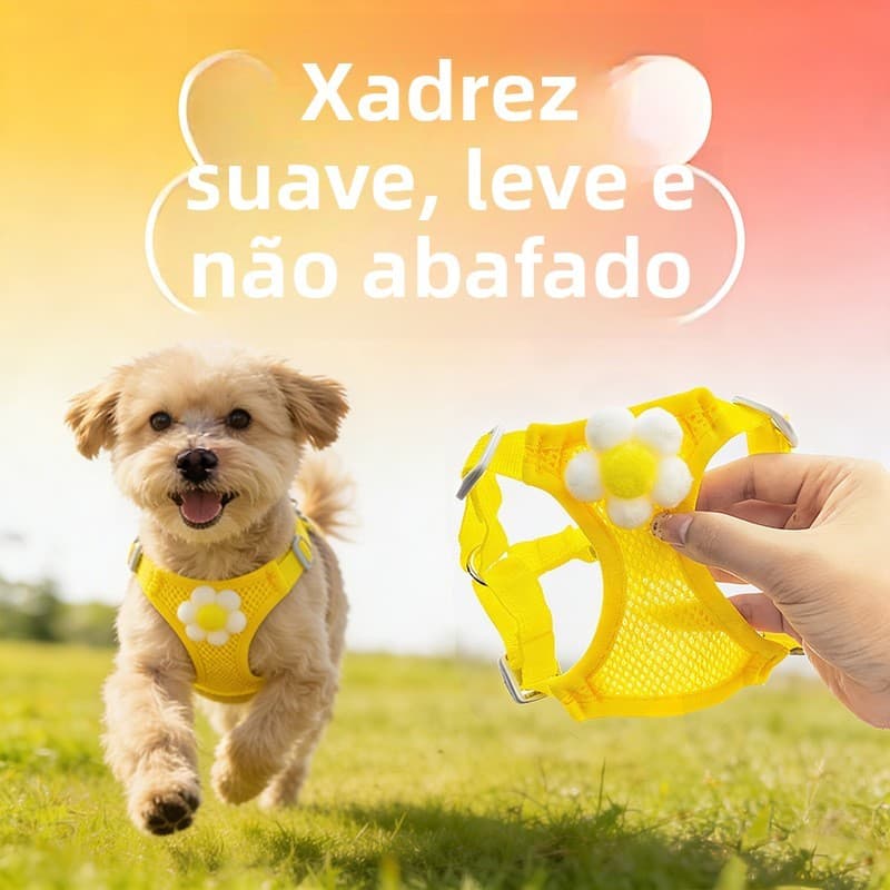 Coleira para cachorro pequeno, coleira para caminhada de cachorro, Bichon, pomerânia, filhote de cachorro, gato, cachorr