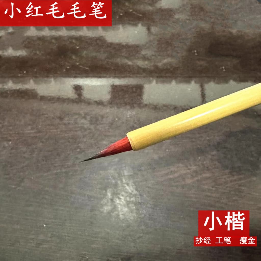 Pincel vermelho e pincel de cabelo Pincel meticuloso Pintura Pintura chinesa Flor Pássaro Linha de desenho branca Caneta