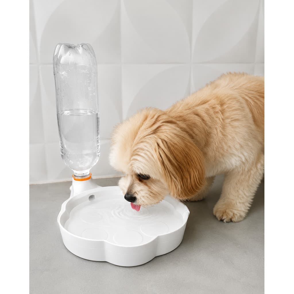 Bebedouro para Pets com Garrafa PET | Fonte de Água para Cães e Gatos | Dispenser Econômico Antiderramamento