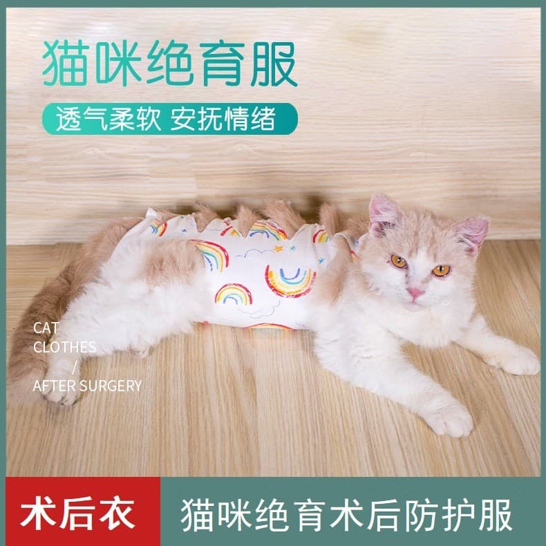 Roupas de esterilização para gatos femininos com cadarço integrado para esterilização de gatos Roupas de proteção pós-op