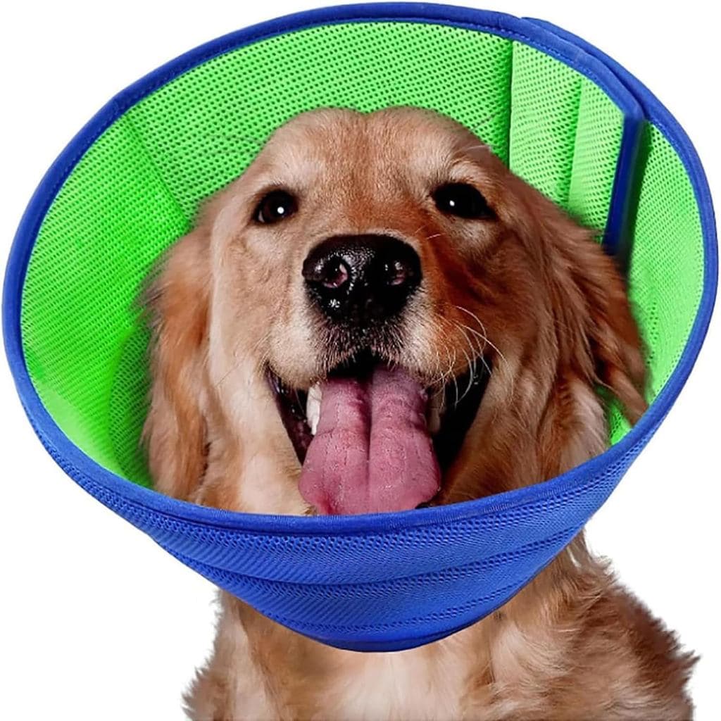 Coleiras e Cones de Recuperação Macios para Cães Após Cirurgia, para Cães Pequenos, Médios e Grandes, Coleira Ajustável