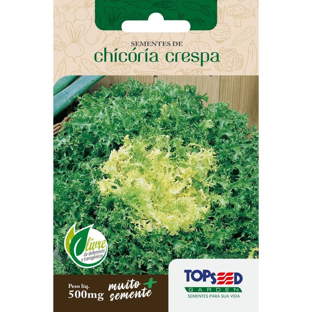 Sementes de Chicória Crespa - Topseed Linha Tradicional Hortaliças