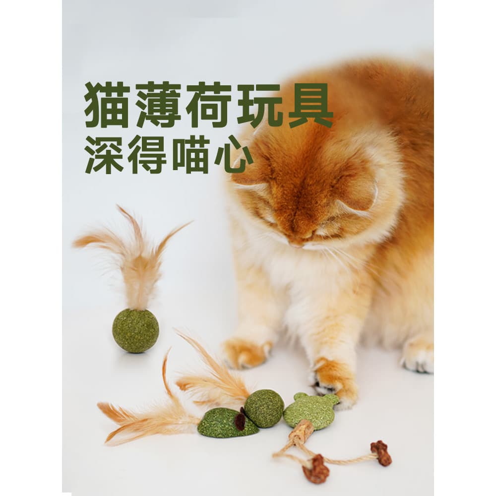 Brinquedo para gatos auto-felizmente aliviando o tédio