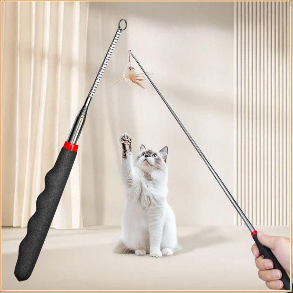 Brinquedo Retrátil Do Gato Teaser Caminho , Varinha Interativa Metal , Vara Plástica