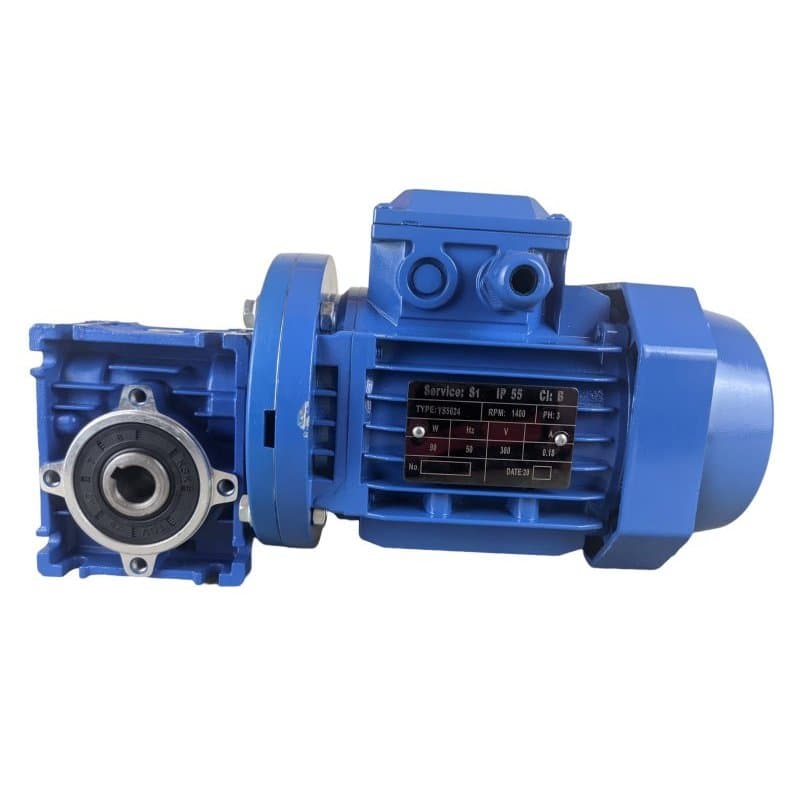 Motoredutor Motor 1/8Cv com Redutor 1:10 trifásico 220/380V 175rpm