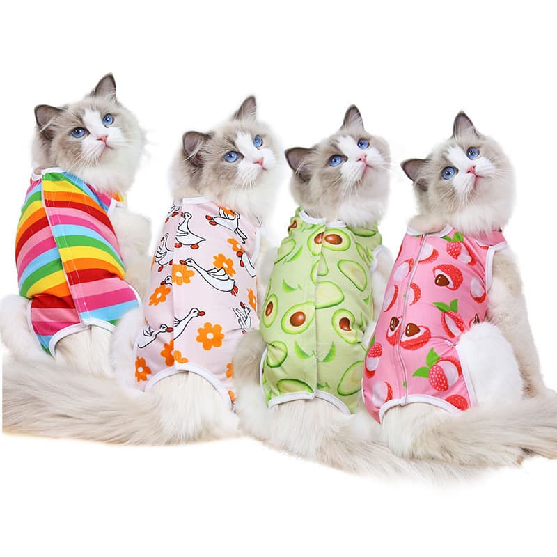 Roupas para cães e gatos de pequeno e médio porte, roupas para esterilização, roupas cirúrgicas para cães, para a
