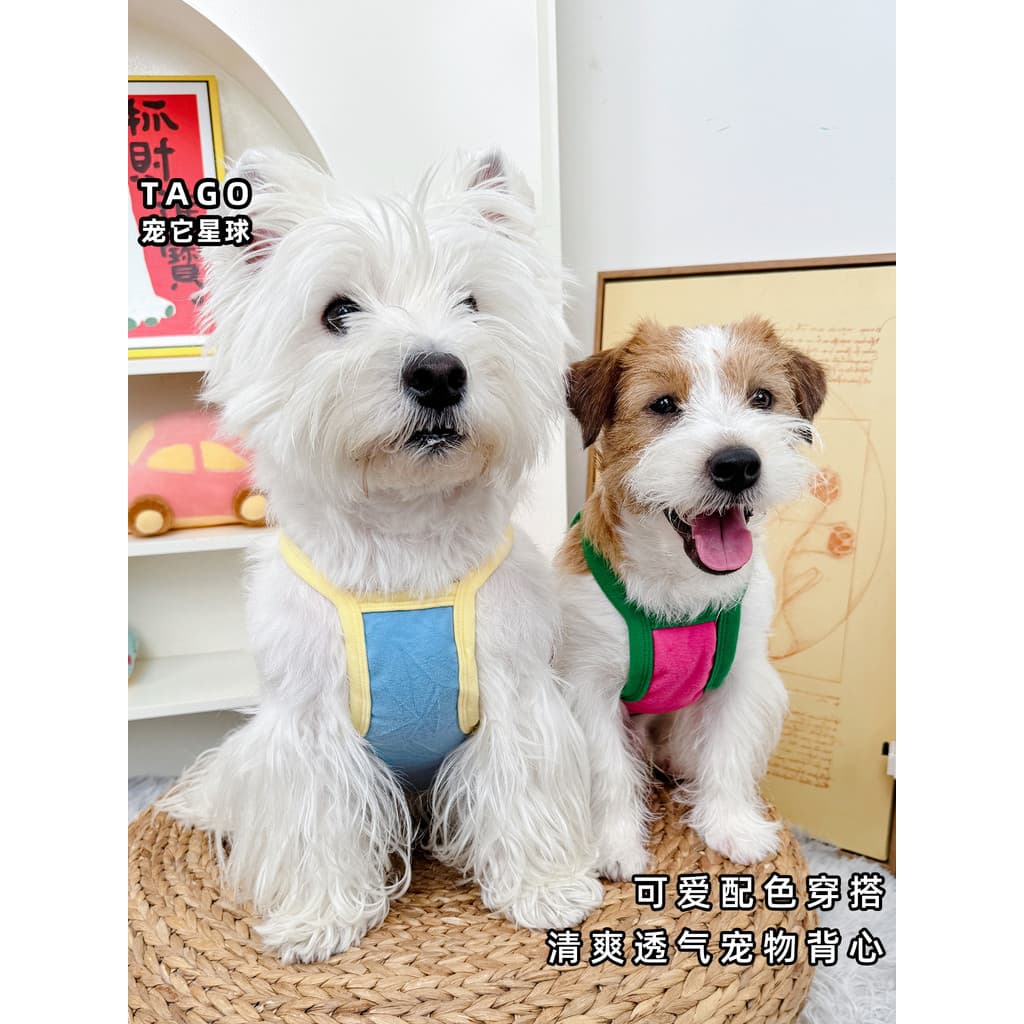 Roupas para cães verão gato colete fino verão gato anti-fiapos estilingue Schnauzer Teddy anti-sujeira Bichon