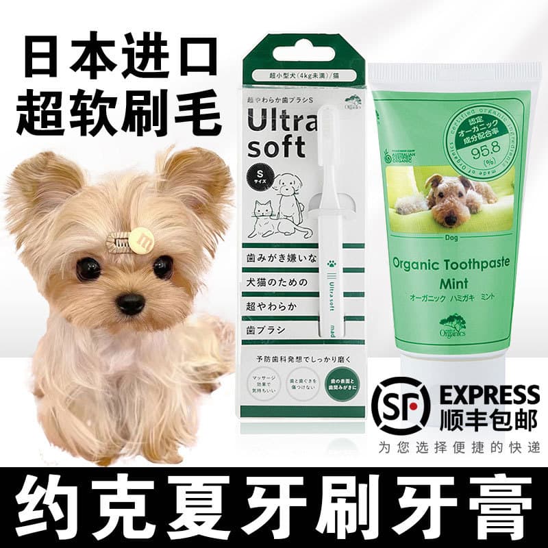 Escova de dentes especial para corpo pequeno yorkshire, pasta de dentes para limpeza de dentes de cachorro, filhotes peq