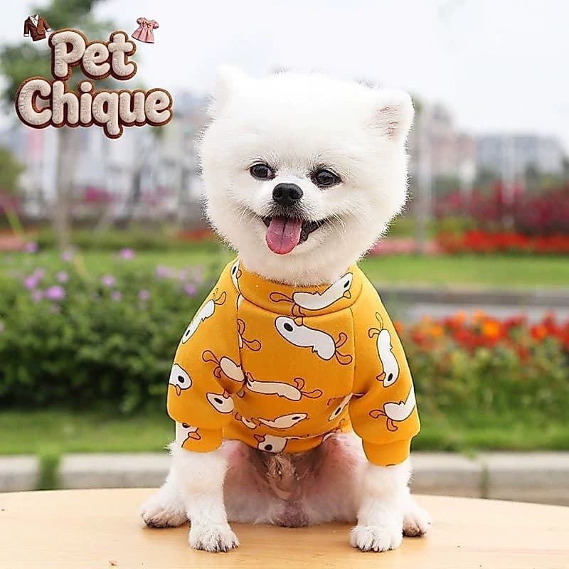 Moletom de duas pernas para animais de estimação, estilo outono inverno, para cães e gatos, roupas para gatos estilo Ted
