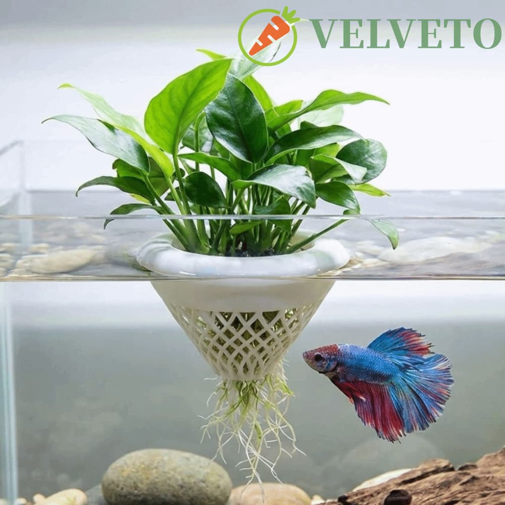 Cesta De Plantas Hidropônicas ELVETO , Plantio De Aquário Flutuante Decorativa Impressa Em 3D , Plástico