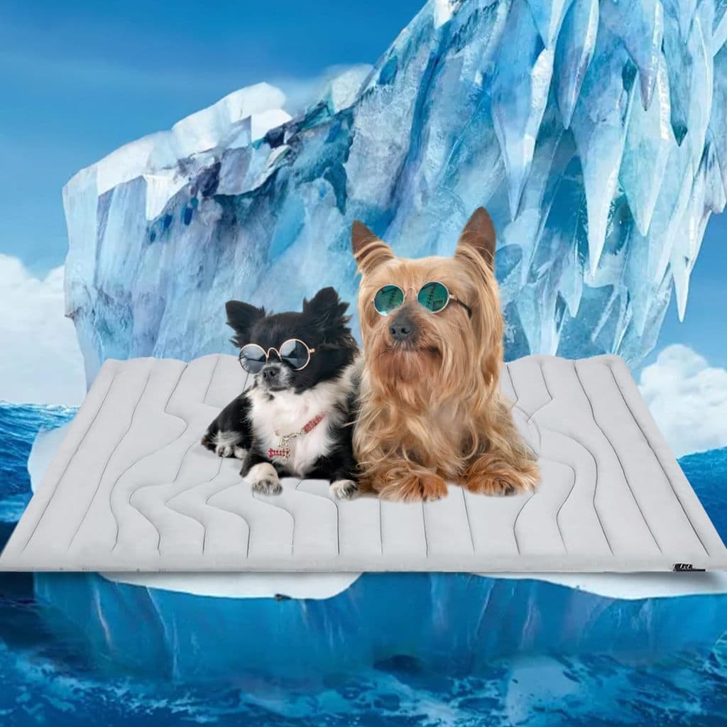 Novo estilo almofada de gelo para animais de estimação cão almofada de gelo verão almofada de dormir prevenção de calor