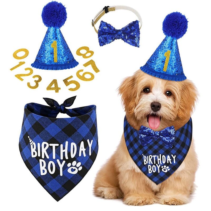 Chapéu de Aniversário para Cães, Laço, Lenço para Animais de Estimação, Decoração de Festa