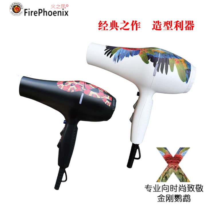 Fengzhifeng secador de cabelo 5600A secador de cabelo alta temperatura leve silencioso estilo salão de beleza secador de