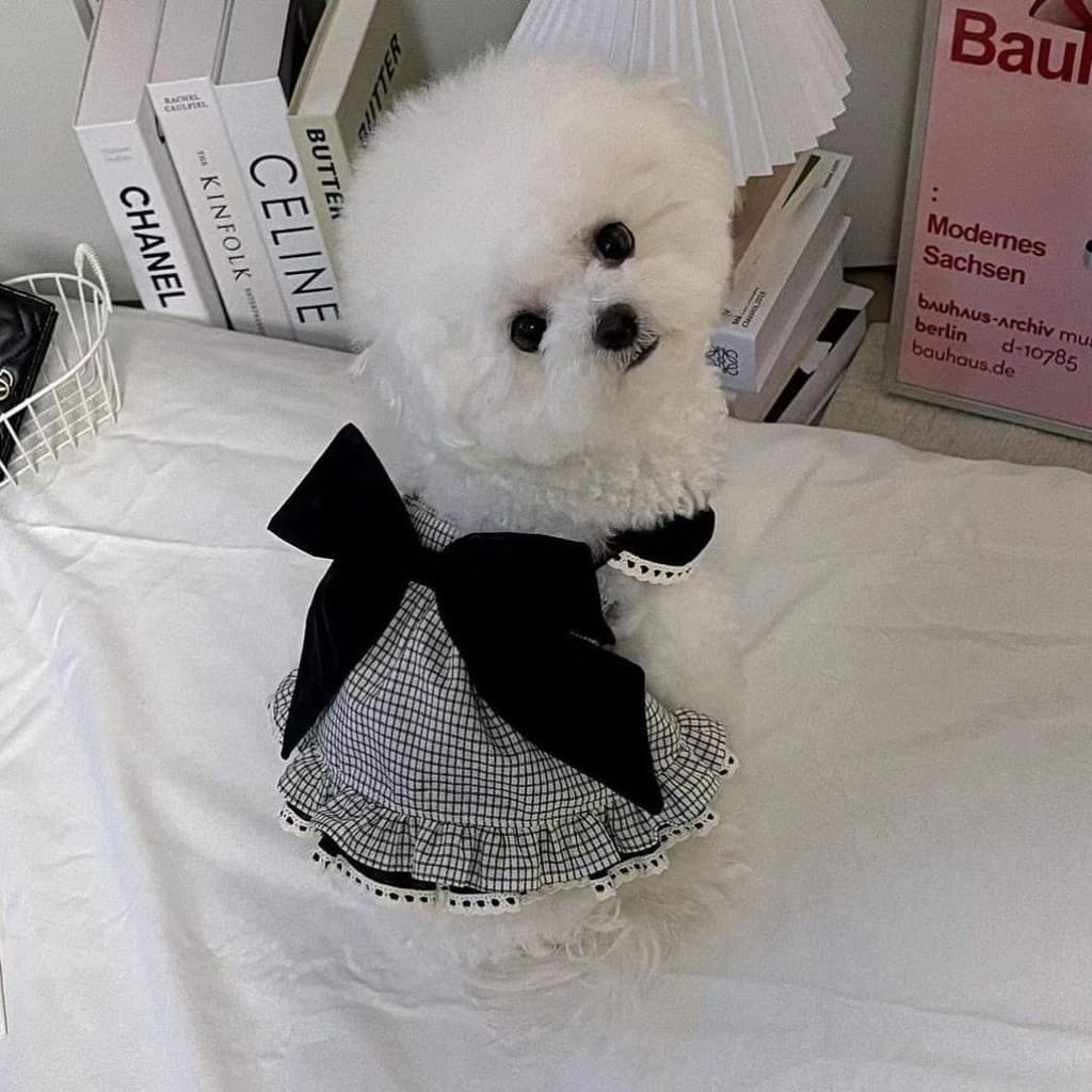 Roupas para cães verão fino vestido de princesa passeio pequeno cão animal de estimação Yorkshire maltês Bichon