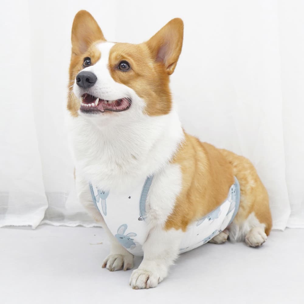Pet Cross-Border pet barriga bolso cão casa roupas confortáveis anti-fiapos anti-sujeira roupas para cães outono inverno