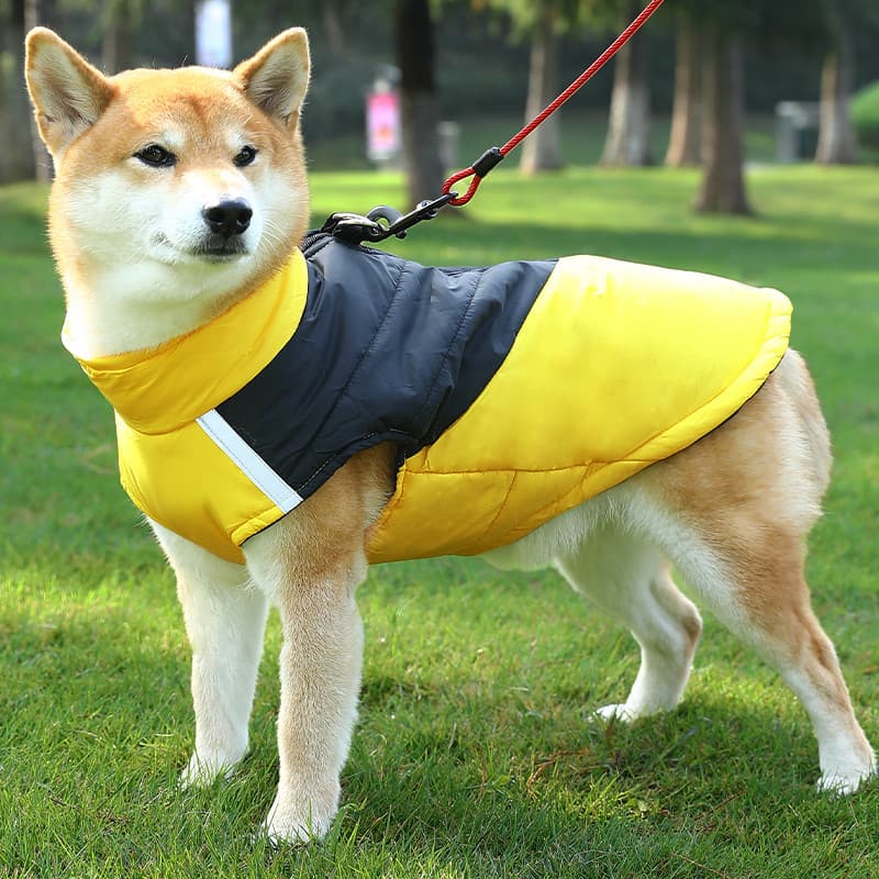 Roupas para cães inverno engrossado tração quente Shiba Inu Corgi médio grande cão filhote de cachorro Pet acolchoado co