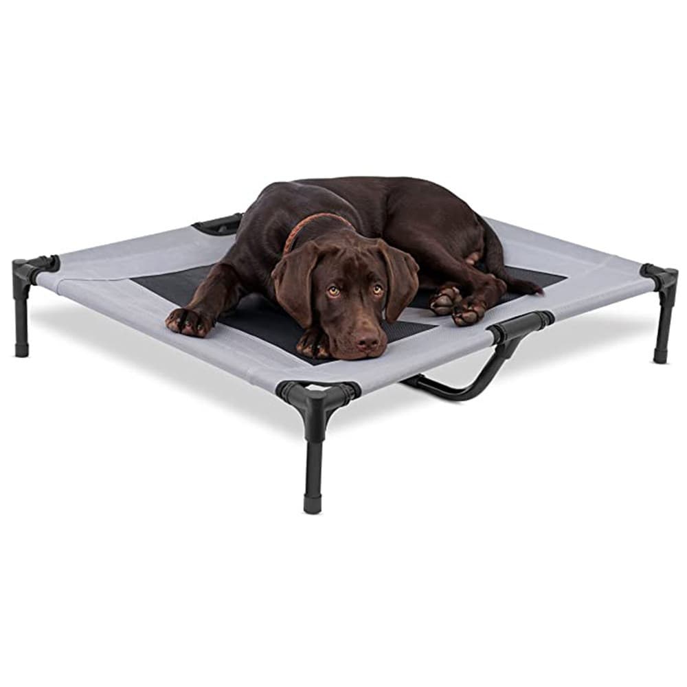 Gato Cachorro Suprimentos Oxford Pano Estrutura de Ferro Cama Respirável Cama para Cachorro de Estimação
