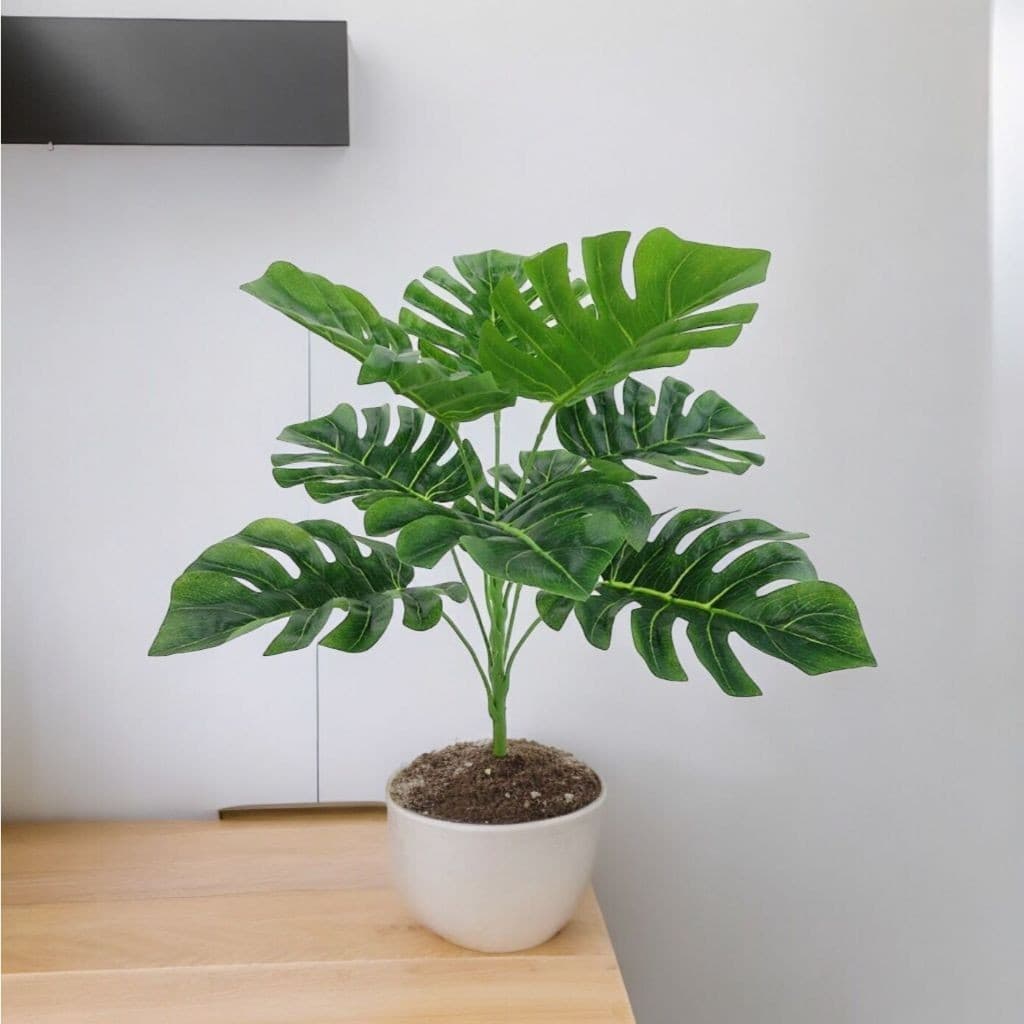 Buquê Costela De Adão Artificial Verde Natural Toque Real 2023 decoração Decorativas